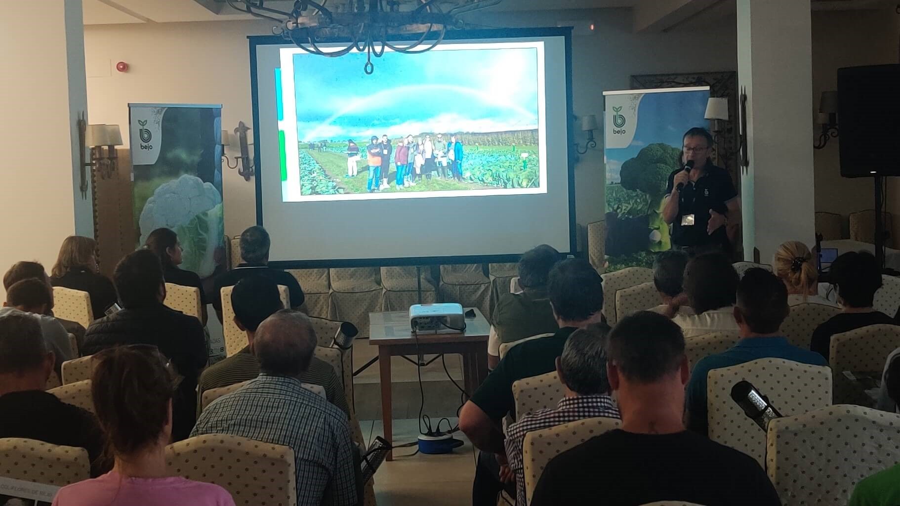 bejo brocoli 3175|BejoValleEbro|BejoValleEbro1